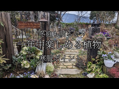 冬に庭で馬糞を使用するにはどうすればよいですか？利点、アドバイス、使用方法  庭園