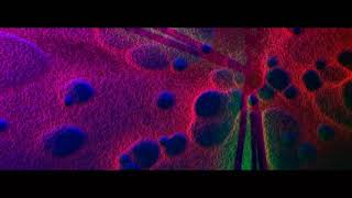 The Pretenders    Private Life 4K