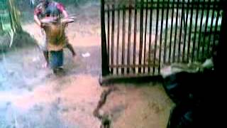 Download lagu Bermain Hujan-Hujanan mp3 Download lagu Bermain Hujan-Hujanan mp3