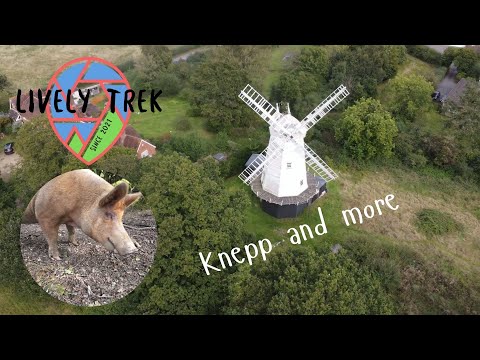 Knepp Wildland Safaris 10K Hike | Shipley Windmill | Knepp Castle