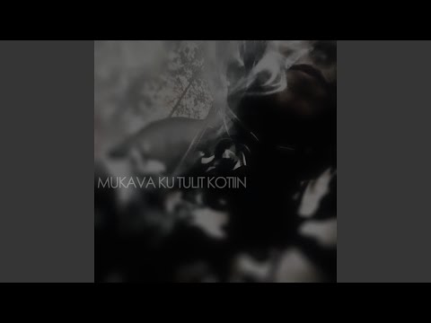 Mukava ku tulit kotiin