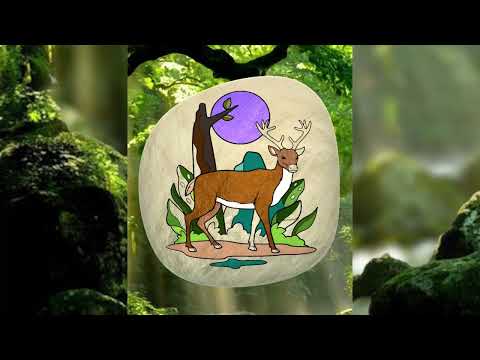 Rock Art - 3D Color by Number Video