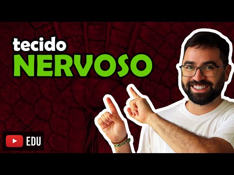 Nervous Tissue - Class 16 - Module VII: Human Histology and Physiology | Prof. Gui