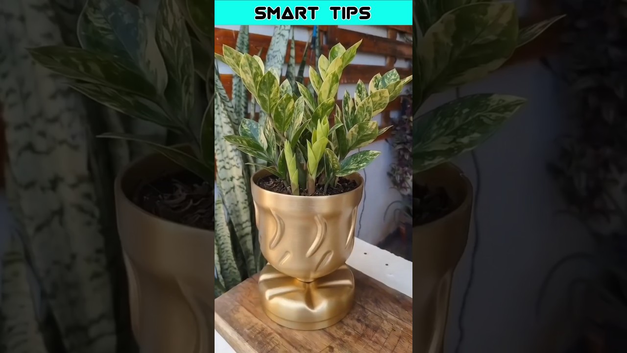Smart Life Hacks: How Power Tools Can Make Your Daily Routines Easier