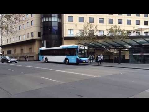 Sydney Bus Vlog 18: New Volgren Optimus CDC Bus Part 2