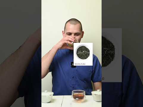 What Is The Difference Between Green Tea and Black Tea?