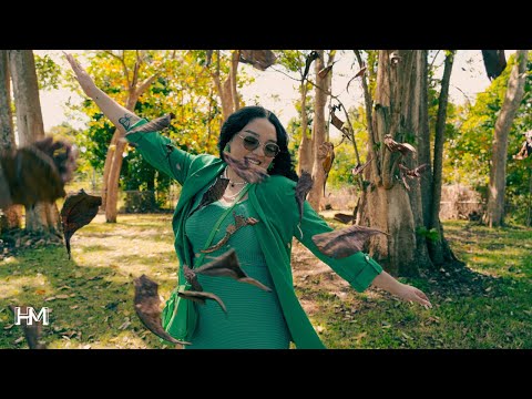 Mireyli Rosa - Que Bonita Es Mi Vida (Video Oficial)