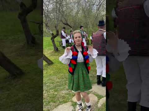 Andreea Ciocotisan- Filmări Colaj Mm #foryou #shorts #tiktok #viral #clips #singer #music ￼