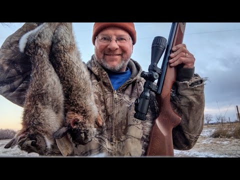 HW95 Luxus 22 Field Report: Gas Ram vs Coiled Steel Spring: