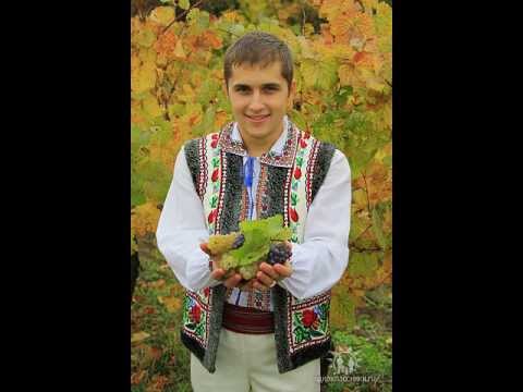 Victor Bondari - Ce e viața omului