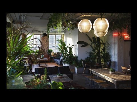 Discothèque Credits Live @ NT's