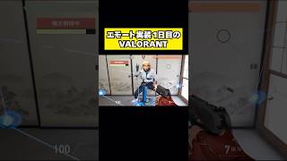 エモート実装1日目のVALORANT
