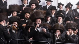 גראמען מוצ"ש זכור במעמד הרה״צ ר׳ אהרן מרדכי שליט״א בארא פארק תשפ״ה