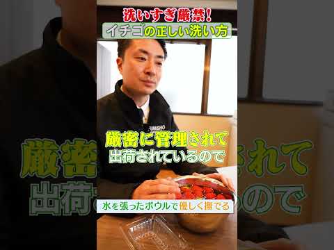 果物の正しい洗い方 ライフスタイル