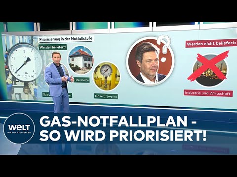 „Hier greift der Staat ein und Gas wird rationiert“ - GAS-NOTFALLPLAN | WELT ANALYSE
