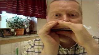 Video thumbnail for Harmonica Thunderbird Blues - Hohner Marine Band Thunderbird in low G by Håkan “Harmonica Hawk” Ehn