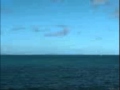 John Cale - Look Horizon