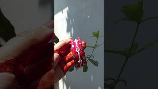 Download lagu order here👉https://www.facebook.com/profile.php?id=61573442991331&mibextid=ZbWKwL #viral#love#trend mp3 Download lagu order here👉https://www.facebook.com/profile.php?id=61573442991331&mibextid=ZbWKwL #viral#love#trend mp3