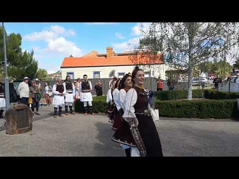 Macedonian dancers #cresfest . the women