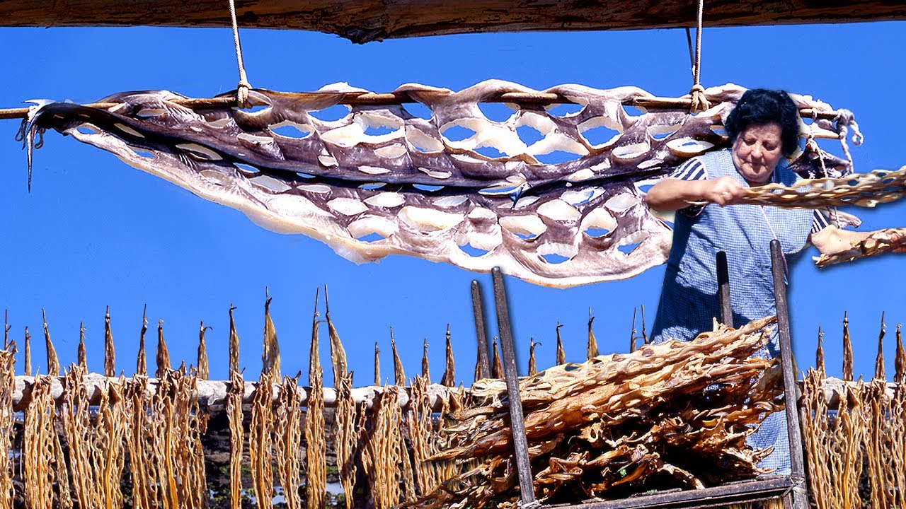 Secadero de congrio. Actividad artesanal para conservar este pescado | Oficios Perdidos | Documental