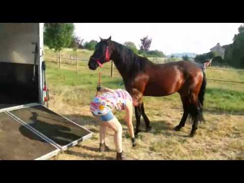 comment apprendre a monter a cheval