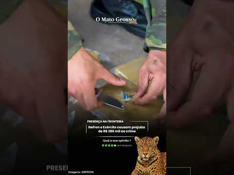 Gefron e Exército causam prejuízo de R$ 286 mil ao crime
