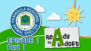 The Newport News Peninsula Regional Animal Shelter: Ready to Adopt Episode 1 - Part 1