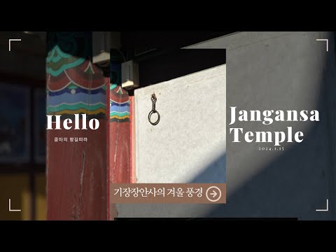 기장 장안사의 겨울 풍경