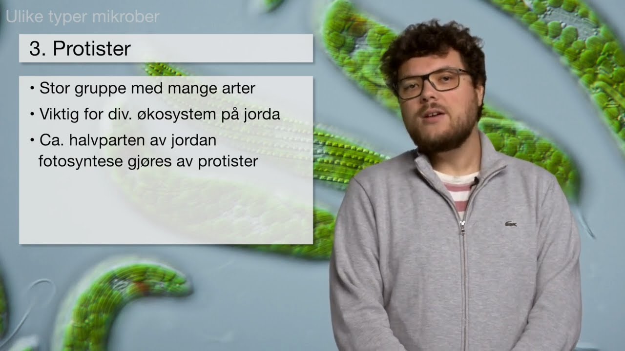 Biologi 1: Mikrober og virus