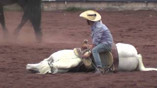 preview picture of video 'Feria del Caballo Texcoco Suertes con caballo [HD]'