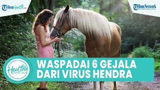 Inilah 6 Gejala Virus Hendra pada Manusia yang Harus Diwaspadai, Satu di Antaranya Batuk Kering