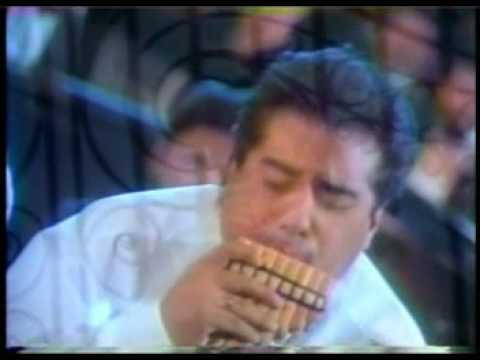 proyecto PACHA - ave de cristal