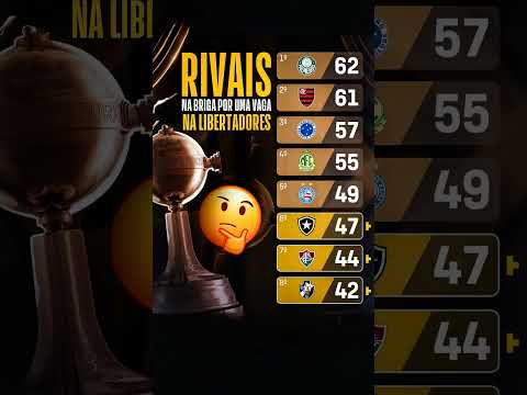 #libertadores #fjv #palmeiras #flamengo #cruzeiro #vasco #saopaulo #brasileirao #manchanegra#futebol