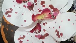 وصفة جديدة وطريقة تحضير مختلفة كنتمنى تشاهدوا الفيديو بالكامل 😋😍❤️👍