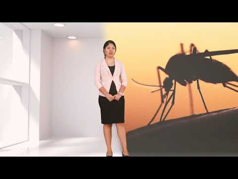 Spanish attack on the British