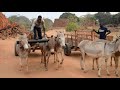 TANZANIA HUMANE CHARITY GENERAL PROFILE