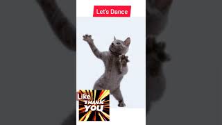 Download lagu 🐱🐅Cats Dance | Koi yahan aha nache nache #shorts mp3 Download lagu 🐱🐅Cats Dance | Koi yahan aha nache nache #shorts mp3
