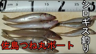 佐島つね丸ボート
