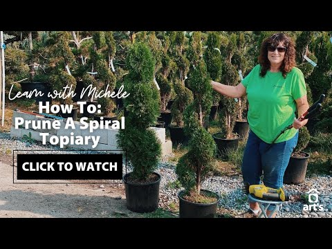 Anleitung: Spiralförmige Formschnitte beschneiden + Formschnitt-Tour