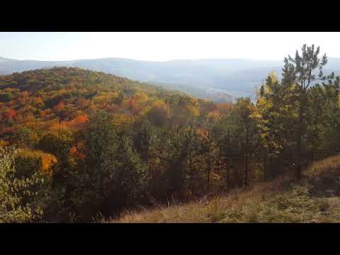 Mănăstirea Florești - Tăuți