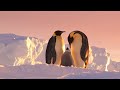 Antarctica: Tales from the End of the World