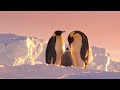 Antarctica Tales From The End Of The World
