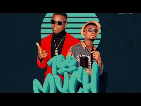 Too Much-(official lyrics video)