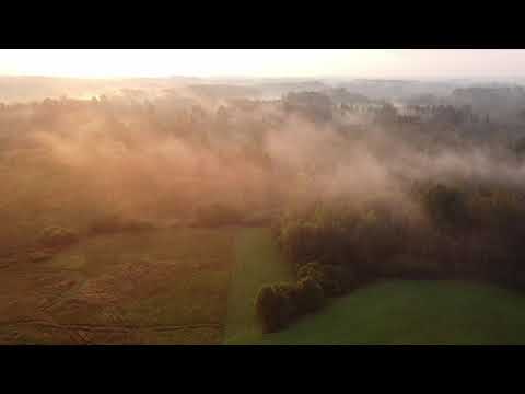 P. Vasks  Evening Music – Iveta Apkalna / Valentino Worlitzsch