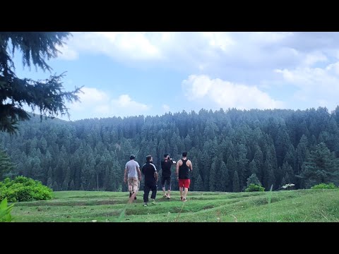 How to CAMP in BRENWAR