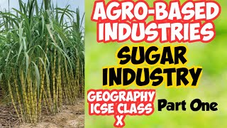 Agro-based Industries Part 1 | ICSE Geography Class X | Sugar Industry | Hindi and English