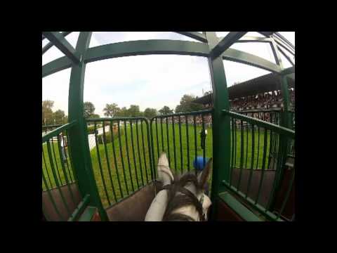 Ponygalopprennen Aarau, 23.09.2012