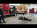 Fire Safety Series Stop Drop And Roll