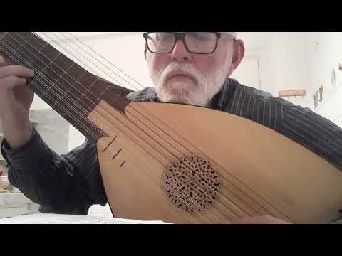 Giovanni Zamboni sonata 10 bourrée. Arciliuto di Francesco Bonfanti Liuteria Assandri Genova