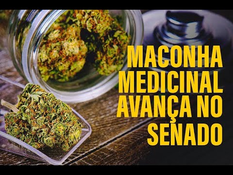 Uso medicinal da maconha segue para análise da CCJ